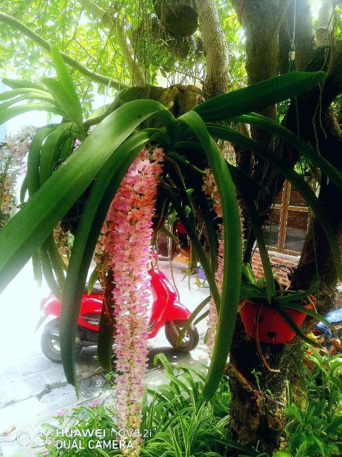 Tamcoc Mr. Cau Homestay Ниньбинь Экстерьер фото